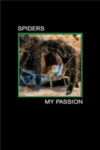 Spiders my Passion