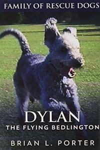 Dylan - The Flying Bedlington