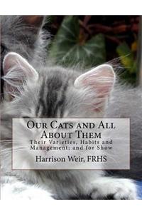 Our Cats and All about Them