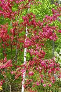 Springtime Trees 2019 Weekly Planner 134 Pages
