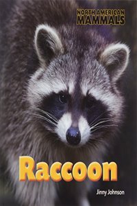 Raccoon