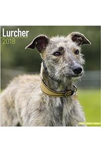 Lurcher Calendar 2018