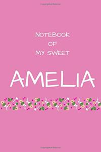 Notebook of my sweet Amelia