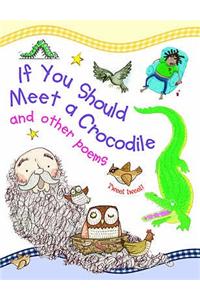 If You Should Meet a Crocodile