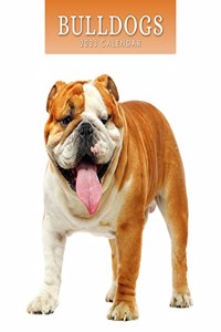 BULLDOGS 2023 SQUARE WALL CALENDAR