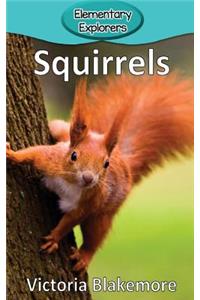 Squirrels