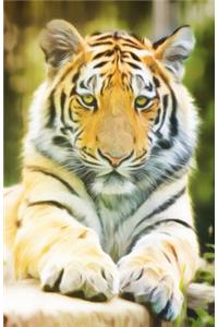 Bullet Journal for Cat Lovers Tiger