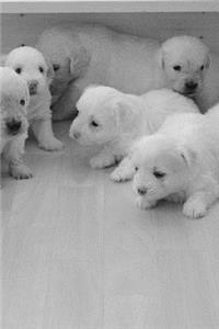 Puppies Notebook