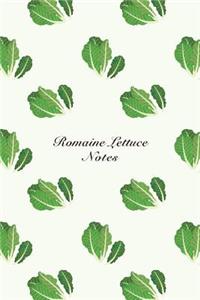Romaine Lettuce Notes