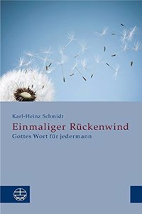 Einmaliger Ruckenwind