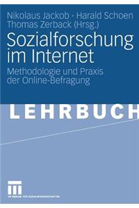 Sozialforschung Im Internet