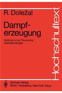 Dampferzeugung