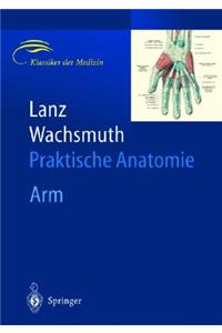 Arm