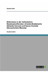 Ritterinnen in der italienischen Renaissanceliteratur. Ariostos Bradamante (Orlando furioso) und Tassos Clorinda (Gerusalemme liberata)
