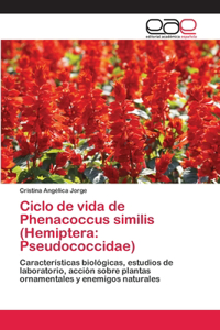 Ciclo de vida de Phenacoccus similis (Hemiptera