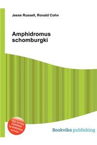 Amphidromus Schomburgki