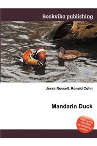 Mandarin Duck