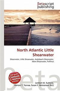 North Atlantic Little Shearwater