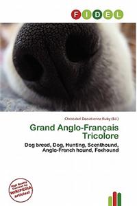 Grand Anglo-Fran Ais Tricolore