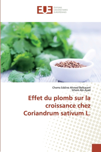 Effet du plomb sur la croissance chez Coriandrum sativum L.