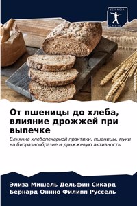 От пшеницы до хлеба, влияние дрожжей при в&#