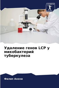 Удаление генов Lcp у микобактерий туберкуле