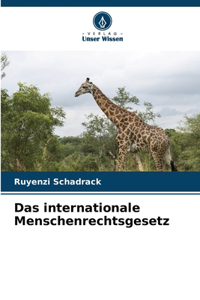 internationale Menschenrechtsgesetz