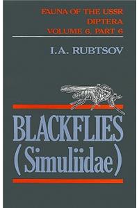 Blackflies (Simuliidae)