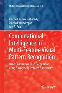 Computational Intelligence in Multi-Feature Visual Pattern Recognition