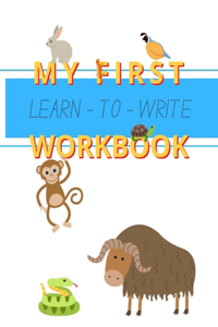 My First Learn-to-Write Workbook