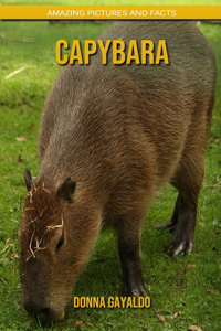 Capybara