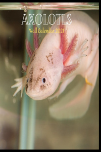 Axolotls Wall Calendar 2021