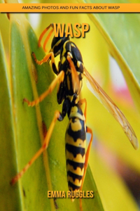 Wasp