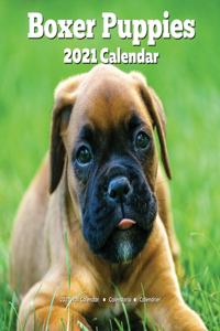 Boxer Puppies 2021 Wall Calendar