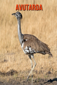 Avutarda