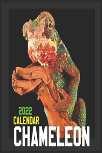 Chameleon Calendar 2022