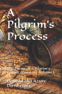 Pilgrim's Process