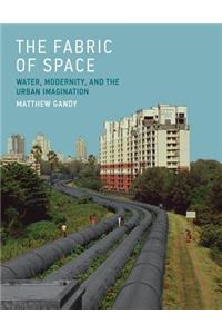 The Fabric of Space