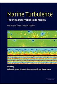 Marine Turbulence