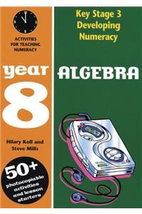 Algebra: Year 8