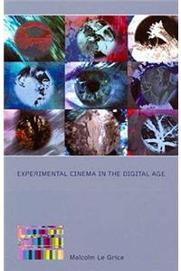 Experimental Cinema in the Digital Age