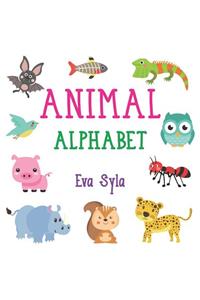 Animal Alphabet