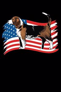 Beagle US Flag