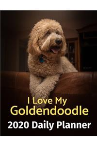I Love My Goldendoodle