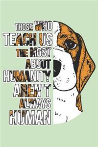 I love my Beagle