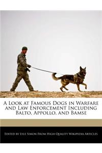 A Look at Famous Dogs in Warfare and Law Enforcement Including Balto, Appollo, and Bamse