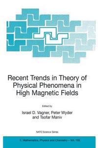 Recent Trends in Theory of Physical Phenomena in High Magnetic Fields