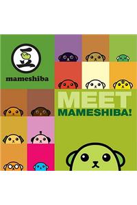 Meet Mameshiba!