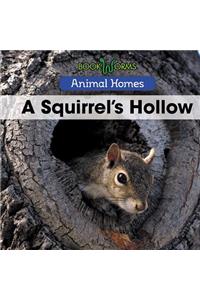 Squirrel's Hollow