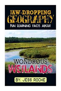 Jaw-Dropping Geography: Fun Learning Facts about Wondrous Wetlands: Illustrated Fun Learning for Kids